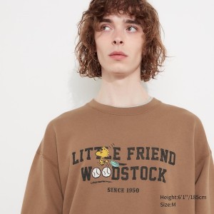 Brown Men Uniqlo PEANUTS Charlie Brown's Baseball Team Long-Sleeve Sweatshirts | 3984-FHTAM